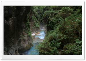 Kamniska Bistrica River, Forest, Slovenia Ultra HD Wallpaper for 4K UHD Widescreen desktop, tablet & smartphone