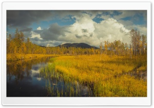 Kesanki River, Lapland, Autumn, Finland, Nordic Nature, Fall Colors, Wilderness 4K UHD Wallpaper for Widescreen and UltraWide Desktop, UltraHD TV, Smartphone, Tablet