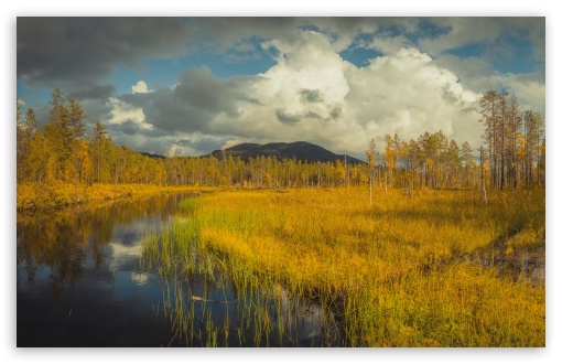 Kesanki River, Lapland, Autumn, Finland, Nordic Nature, Fall Colors, Wilderness UltraHD Wallpaper for UHD 16:9 ; HD 16:9 ; UltraWide 21:9 24:10 32:9 32:10 ; Widescreen 16:10 5:3 ; Fullscreen 4:3 5:4 3:2 ; Tablet 1:1 ; Mobile 9:16 9:19.5 9:20 9:21 9:22 10:16 2:3 3:5 3:4 ; Dual 16:10 5:3 16:9 4:3 5:4 3:2 ;
