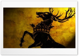 king 4K UHD Wallpaper for Widescreen and UltraWide Desktop, UltraHD TV, Smartphone, Tablet