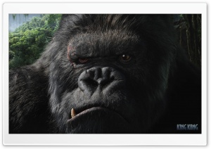 King Kong 2 Ultra HD Wallpaper for 4K UHD Widescreen desktop, tablet & smartphone