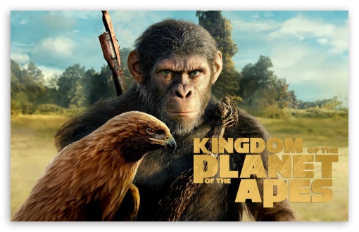 Kingdom of the Planet of the Apes 2024 Movie UltraHD Wallpaper for UHD 16:9 ; HD 16:9 ; UltraWide 21:9 24:10 ; Widescreen 16:10 5:3 ; Fullscreen 4:3 5:4 3:2 ;