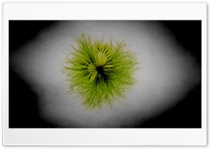 Kirlian 4K UHD Wallpaper for Widescreen and UltraWide Desktop, UltraHD TV, Smartphone, Tablet