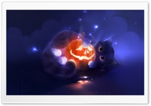 Kitty Playing with a Pumpkin Ultra HD Wallpaper for 4K UHD Widescreen desktop, tablet & smartphone