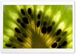 Kiwi Fruit Ultra HD Wallpaper for 4K UHD Widescreen desktop, tablet & smartphone
