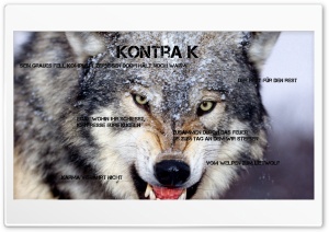 Kontra K Wolfe 4K UHD Wallpaper for Widescreen and UltraWide Desktop, UltraHD TV, Smartphone, Tablet
