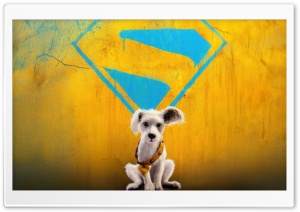Krypto Dog in Supergirl Movie 2026 4K UHD Wallpaper for Widescreen and UltraWide Desktop, UltraHD TV, Smartphone, Tablet