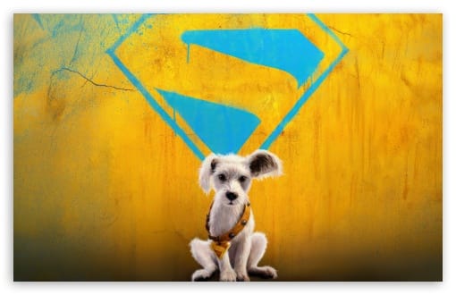 Krypto Dog in Supergirl Movie 2026 UltraHD Wallpaper for UHD 16:9 ; HD 16:9 ; UltraWide 21:9 24:10 32:9 32:10 ; Widescreen 16:10 ; Tablet 1:1 ; Mobile 9:16 9:19.5 9:20 9:21 9:22 ; Dual 16:10 16:9 ;