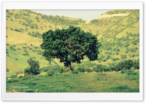 Kurdistan-Nature Ultra HD Wallpaper for 4K UHD Widescreen desktop, tablet & smartphone