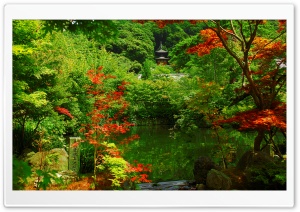 Kyoto Garden, Japan Ultra HD Wallpaper for 4K UHD Widescreen desktop, tablet & smartphone