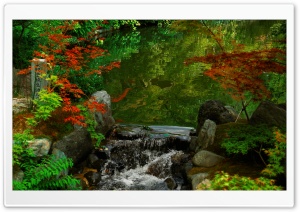 Kyoto Garden, Japan Ultra HD Wallpaper for 4K UHD Widescreen desktop, tablet & smartphone