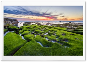 La Jolla Green Shore Ultra HD Wallpaper for 4K UHD Widescreen desktop, tablet & smartphone