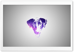 Labrador Retriever Manipulation Ultra HD Wallpaper for 4K UHD Widescreen desktop, tablet & smartphone