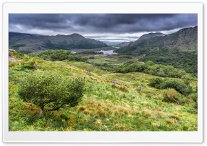 Ladies View, Killarney National Park in Ireland Ultra HD Wallpaper for 4K UHD Widescreen desktop, tablet & smartphone