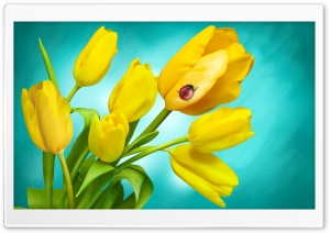 Ladybird and Yellow Tulips in Vase Ultra HD Wallpaper for 4K UHD Widescreen desktop, tablet & smartphone