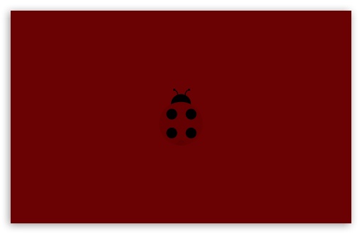 ladybug desktop wallpaper