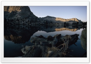 Lake Driftwood Ultra HD Wallpaper for 4K UHD Widescreen desktop, tablet & smartphone
