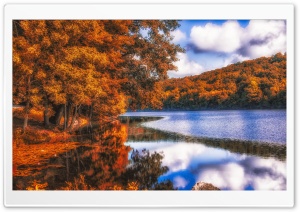 Lake, Forest, Autumn Ultra HD Wallpaper for 4K UHD Widescreen desktop, tablet & smartphone