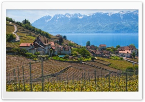 Lake Geneva, Switzerland Ultra HD Wallpaper for 4K UHD Widescreen desktop, tablet & smartphone