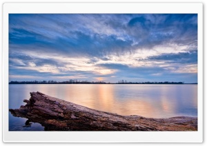 Lake Illinois Trunk Ultra HD Wallpaper for 4K UHD Widescreen desktop, tablet & smartphone