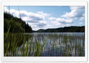 Lake In East Sweden Ultra HD Wallpaper for 4K UHD Widescreen desktop, tablet & smartphone