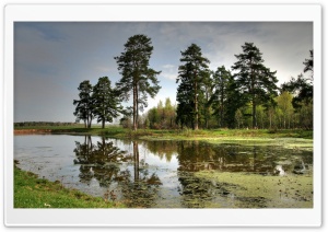 Lake In The Forest Ultra HD Wallpaper for 4K UHD Widescreen Desktop, Lockscreen, Screensaver, TV, Tablet, Smartphone