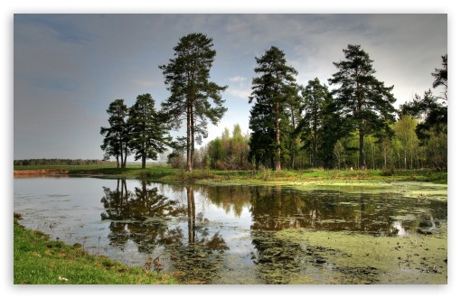 Lake In The Forest UltraHD Wallpaper for HD 16:9 ; Widescreen 16:10 5:3 ;