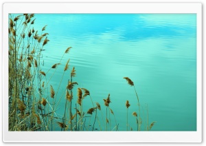 Lake Reed Ultra HD Wallpaper for 4K UHD Widescreen desktop, tablet & smartphone