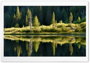 Lake Reflections Ultra HD Wallpaper for 4K UHD Widescreen desktop, tablet & smartphone