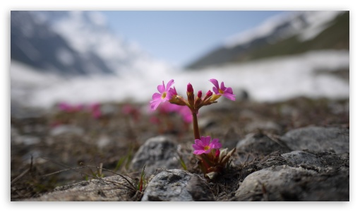 Lake Saiful Muluk Pakistan UltraHD Wallpaper for UHD 16:9 ; HD 16:9 ;