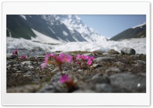 Lake Saiful Muluk Pakistan 4K UHD Wallpaper for Widescreen and UltraWide Desktop, UltraHD TV, Smartphone, Tablet