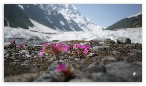 Lake Saiful Muluk Pakistan UltraHD Wallpaper for UHD 16:9 ; HD 16:9 ;