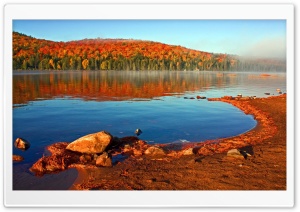 Lake Shore, Autumn Ultra HD Wallpaper for 4K UHD Widescreen desktop, tablet & smartphone