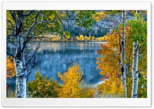 Lake, Trees, Autumn Ultra HD Wallpaper for 4K UHD Widescreen Desktop, Lockscreen, Screensaver, TV, Tablet, Smartphone