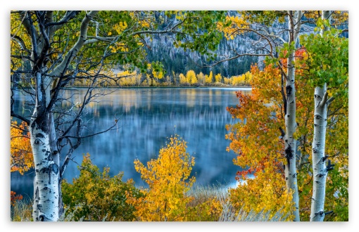 Lake, Trees, Autumn UltraHD Wallpaper for UHD 16:9 2160p 1440p 1080p 900p 720p ; 8K UHD TV 16:9 Ultra High Definition 2160p 1440p 1080p 900p 720p ; UltraWide 21:9 24:10 ; Widescreen 16:10 5:3 WHXGA WQXGA WUXGA WXGA WGA ; Fullscreen 4:3 5:4 3:2 UXGA XGA SVGA QSXGA SXGA DVGA HVGA HQVGA ( Apple PowerBook G4 iPhone 4 3G 3GS iPod Touch ) ; Tablet 1:1 ; Mobile 9:16 9:19.5 9:20 9:21 9:22 10:16 2:3 3:5 3:4 - ;