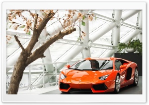 Lamborghini Aventador LP760 Ultra HD Wallpaper for 4K UHD Widescreen desktop, tablet & smartphone