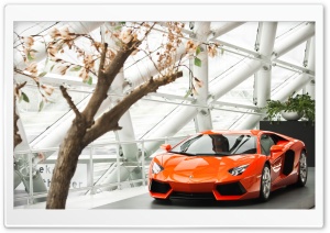 Lamborghini Aventador LP 700-4 Ultra HD Wallpaper for 4K UHD Widescreen desktop, tablet & smartphone