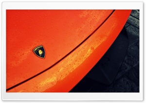 Lamborghini Logo Ultra HD Wallpaper for 4K UHD Widescreen desktop, tablet & smartphone