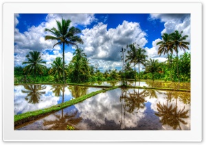 Landscape 4K UHD Wallpaper for Widescreen and UltraWide Desktop, UltraHD TV, Smartphone, Tablet