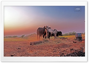 landscape 4K UHD Wallpaper for Widescreen and UltraWide Desktop, UltraHD TV, Smartphone, Tablet