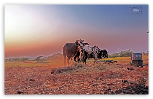 landscape UltraHD Wallpaper for UHD 16:9 ; HD 16:9 ; Widescreen 16:10 ; Fullscreen 3:2 ;