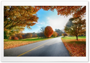 Landscape Ultra HD Wallpaper for 4K UHD Widescreen desktop, tablet & smartphone
