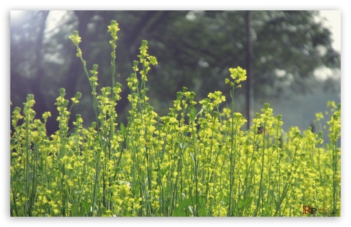 landscape UltraHD Wallpaper for Widescreen 16:10 ;