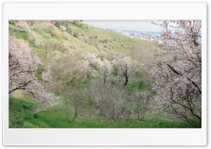 landscape..lavizan..iran 4K UHD Wallpaper for Widescreen and UltraWide Desktop, UltraHD TV, Smartphone, Tablet