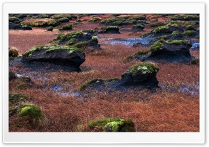 Landscape Nature 8 4K UHD Wallpaper for Widescreen and UltraWide Desktop, UltraHD TV, Smartphone, Tablet