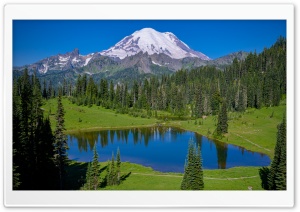 Landscape, Tipsoo Lake, Mt. Rainier National Park, Washington Ultra HD Wallpaper for 4K UHD Widescreen desktop, tablet & smartphone