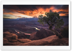 Landscape, View, Colorado River, Canyonlands National Park, Dead Horse Point, Utah, United States 4K UHD Wallpaper for Widescreen and UltraWide Desktop, UltraHD TV, Smartphone, Tablet