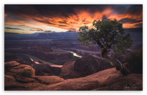 Landscape, View, Colorado River, Canyonlands National Park, Dead Horse Point, Utah, United States UltraHD Wallpaper for UHD 16:9 ; HD 16:9 ; Widescreen 16:10 5:3 ; Fullscreen 4:3 5:4 3:2 ; Tablet 1:1 ;