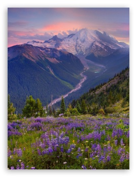 landscapes MacNeil UltraHD Wallpaper for Mobile 4:3 - UXGA XGA SVGA ;