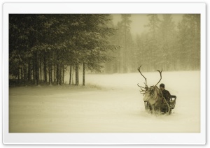 Lapland Reindeer Ride Ultra HD Wallpaper for 4K UHD Widescreen desktop, tablet & smartphone